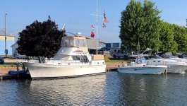 boats 2020 (3).jpg