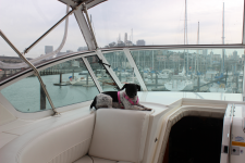 Coco on Boat.png