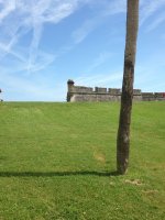 IMG_1132.jpeg